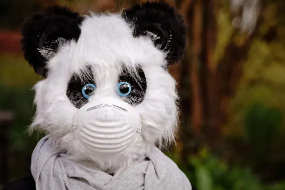 Kaszinó Eight Storm Támogatás